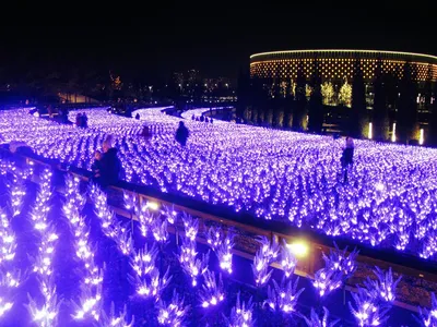 My Life Trip on Tumblr: Ночной Краснодар Krasnodar at night #Краснодар  #Россия #парк #путешествие #дорога #Russia #view #park #nature #enjoy  #travel...