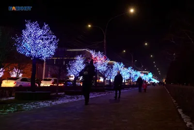 Иней в городе Ставрополь. Фотограф Лашков Фёдор