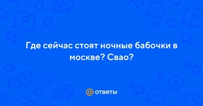 1993 год России в фотографиях: Хару-Мамбуру, \"Агата Кристи\", Осин,  целители, малиновые пиджаки и ночные бабочки | Российский бомонд | Дзен