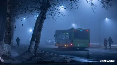 Ночные сёстры — Википедия