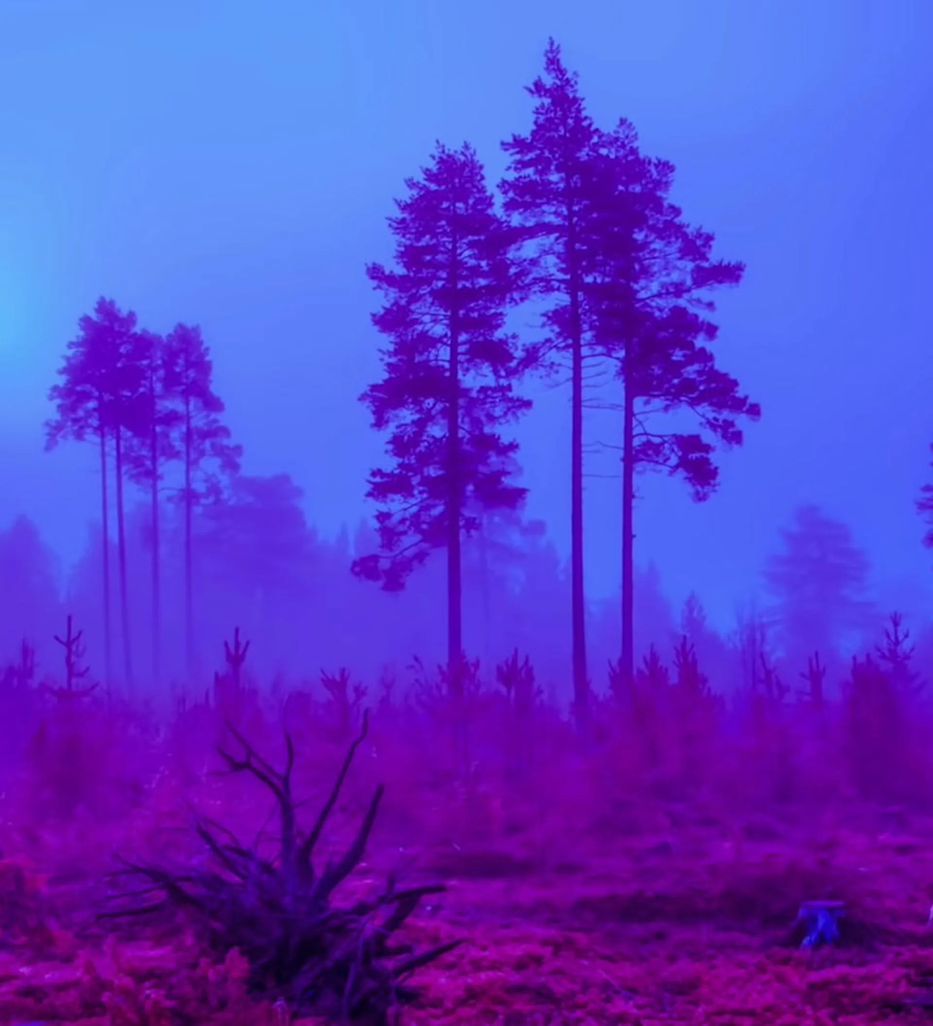 Ночные фонари, Свечение, Дорога, Ночь, Фонари, Amoled (1440x3120) - обои для рабочего стола Ночные фонари, Свечение, Дорога, Ночь, Фонари, Amoled (1440x3120) - обои для рабочего стола