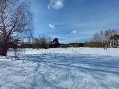 ТЦ Богородский, Московская область, 3 Интернационала 62, аренда торговой  недвижимости