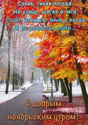 🍂 Календарь инфоповодов на ноябрь Принесли вам подборку занимательных  поводов. Адаптируйте к своим проектам,.. | ВКонтакте