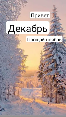 Открытка Привет, Ноябрь! Пусть холод будет лишь погодой... Пускай его не  будет на душе!