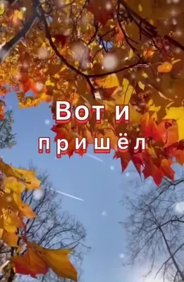 доброеутро #привет #ноябрь #длятебя #❤️ | TikTok