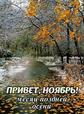 Пин от пользователя Иван Никоненко на доске Доброе утро | Доброе утро,  Открытки, Ноябрь