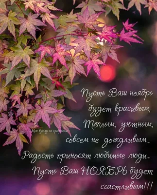 Пин от пользователя 😘Татьяна😘 💐🥀🍁🌨️😘🍂❄️💐 на доске Осенний привет и  пожеланиЯ... | Утренние сообщения, Ноябрь, Осень