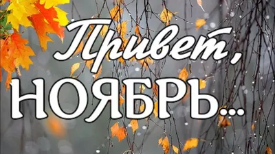 Привет, ноябрь ❄️🍁❄️ в 2023 г | Открытки, Милые открытки, Дневные цитаты