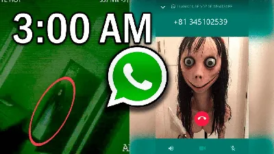 Настоящий номер телефона Момо Whatsapp в России, Беларуси, Казахстане,  Украине и Японии