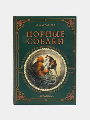 Названы лучшие породы охотничьих собак