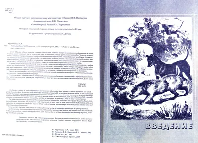 Джек-рассел-терьер — описание породы собаки от А до Я