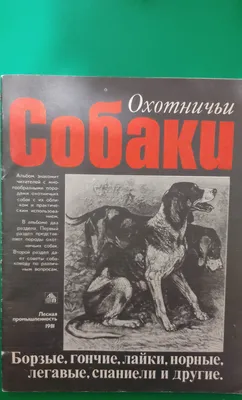 Не пахнет, не линяет – породы собак для самых придирчивых хозяев -  23.04.2022, Sputnik Азербайджан