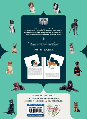 Служебные собаки, Охотничьи собаки, Декоративные собаки.
