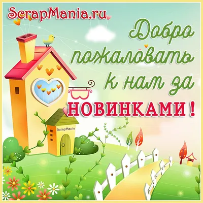 ScrapMania: Февральские новинки !!!