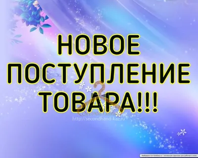 Новое поступление товара 05.07.2023 • Новости • Блог • Электроинструменты,  инструменты для электрика, садовый и хозяйственный инвентарь в Гродно.  Оптовые цены