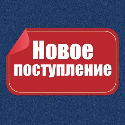 ДЕТСКАЯ ОДЕЖДА В ТАЛДЫКОРГАНЕ on Instagram: “Новое поступление товара!  Белоруссия Россия Новинки смотрите в… | Retail logos, North face logo, The  north face logo