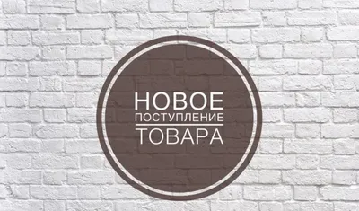 Новое поступление товара 17.02.2023 • Новости • Блог • Электроинструменты,  инструменты для электрика, садовый и хозяйственный инвентарь в Гродно.  Оптовые цены