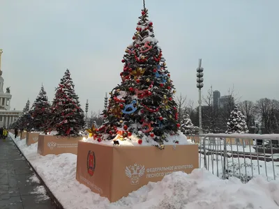 Автобусная экскурсия «Новогодние чудеса в Москве» для детей 6–12 лет –  «Незабываемая Москва»