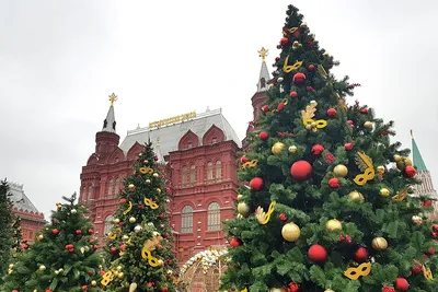 На выставке «Россия» в Москве зажглась новогодняя елка Волгоградской области