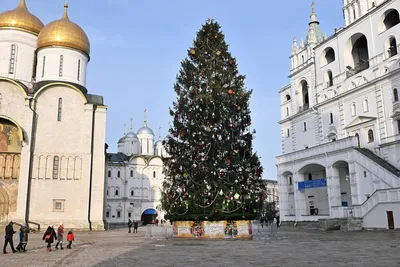 Купить Ёлку из искусственной хвои \"Новогодний паровоз\" на Новый Год в Москве  в интернет магазине