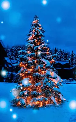 Новогодние обои на телефон | Christmas wallpaper android, Christmas tree  wallpaper iphone, Christmas tree wallpaper