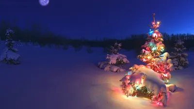 Новогодние обои на телефон | Christmas wallpaper android, Christmas tree  wallpaper iphone, Christmas tree wallpaper