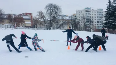 Купить Новогодняя композиция «Новогодняя ёлочка» из каталога Букеты и  композиции на Новый год в Сыктывкаре - «Флориска».