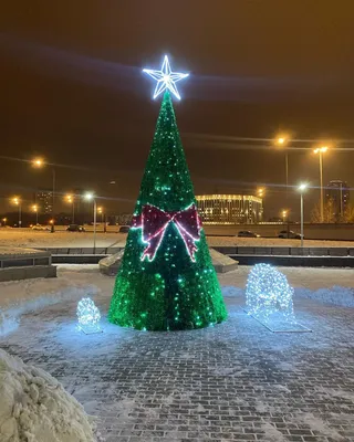 WhatsApp Image 2018-12-10 at 20.55.32 - Школа Цифровых Технологий -  Красноярск