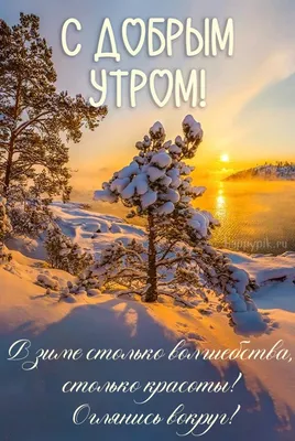 утро #сдобрымутром #новыйгод2022 #красивоепоздравление #красивоевидео... |  TikTok