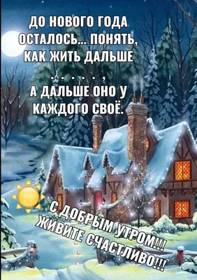 Раскраска новогодняя «Веселые зверята», 68 стр. купить в Чите Новогодние  книги в интернет-магазине Чита.дети (9909057)