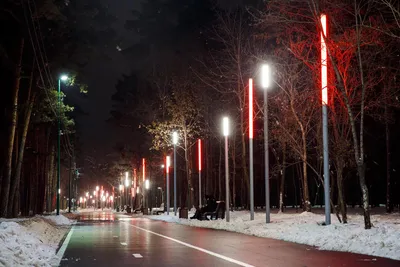 В Липецке на площади у СК \"Звездный\" разбирают новогодние украшения - KP.RU
