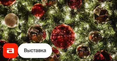 На 30 липах в Липецке появятся новогодние украшения | ЛИПЕЦК | АиФ  Черноземье