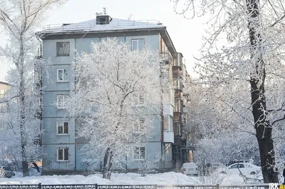 Главную новогоднюю елку зажгли в сквере Кирова в Иркутске 1 декабря 2022 г.  - 1 декабря 2022 - ircity.ru