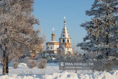 Иркутск отправит в Кировск ЛНР новогоднюю ель - Лента новостей Иркутска