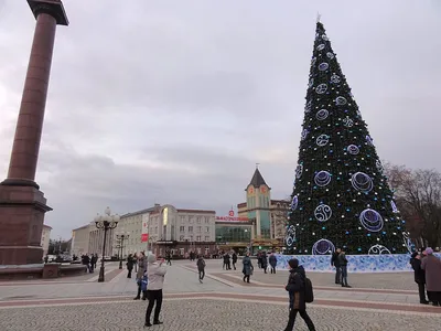 Новогодние каникулы на Балтике: Калининград-Куршская  Коса-Зеленоградск-(Балтийск-Янтарный)