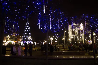 Калининград зимой новогодний, …» — создано в Шедевруме