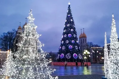 Новый год 2024 в Калининграде: где встретить, куда сходить, как добраться -  Российская газета