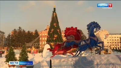 Новогодний городок в Хабаровске будет посвящен подводному миру - Хабаровск:  Общество