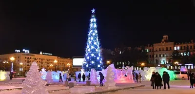 Хабаровск украсят живые новогодние ёлки | 03.12.2021 | Хабаровск -  БезФормата