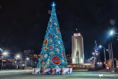 В Хабаровске на площади Ленина открылась главная новогодняя елка -  province.ru