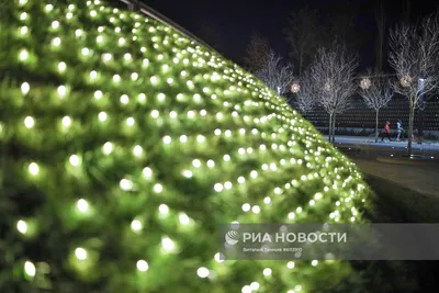 Краснодар готовится к Новому году – Коммерсантъ Краснодар