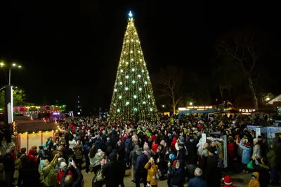 Новогодний Краснодар» — создано в Шедевруме