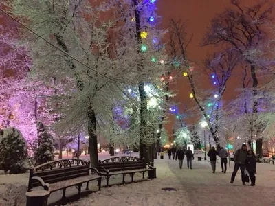 Анапа, Новороссийск, Сочи, Геленджик, Краснодар: где самая красивая  новогодняя ёлка?