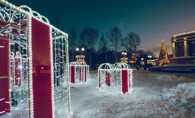 В Мурманске зажглась главная новогодняя ель | 05.12.2021 | Мурманск -  БезФормата