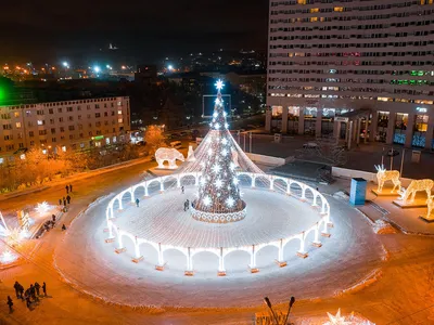 Морские ежи и новогодний Мурманск - Блог : Персональный сайт Михаила Флёнова