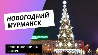 Новогодняя елка зажжет огни 9 декабря | Новости | Администрация города  Мурманска - официальный сайт