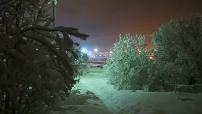 Начался прием заявок на конкурс «Окно в новый год» | 21.11.2023 | Мурманск  - БезФормата