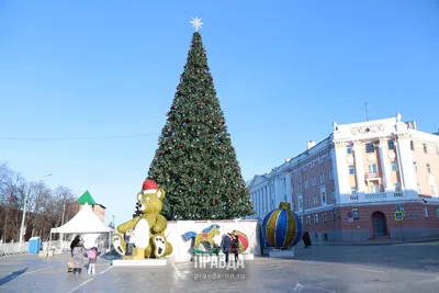 Новогодние развлечения 2023-2024 в Нижнем Новгороде: программа мероприятий,  куда сходить - KP.RU