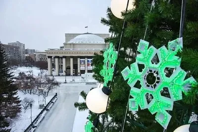 В Новосибирске на площади Ленина установили новогоднюю елку — смотрим, как  она выглядит, фотографии елки, Новосибирск - 29 ноября 2021 - НГС