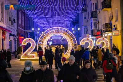 Программа мероприятий на новогодние каникулы-2024 в Ростове и куда  обращаться, если что | big-rostov.ru | Дзен